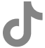 tiktok icon
