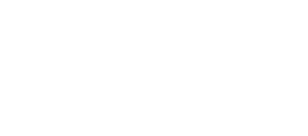 Tweeling brand