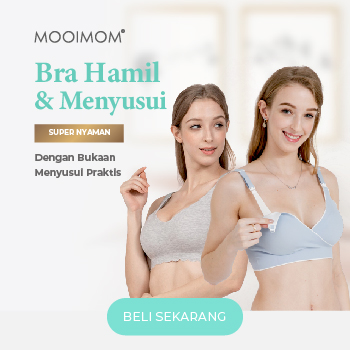 bra menyusui