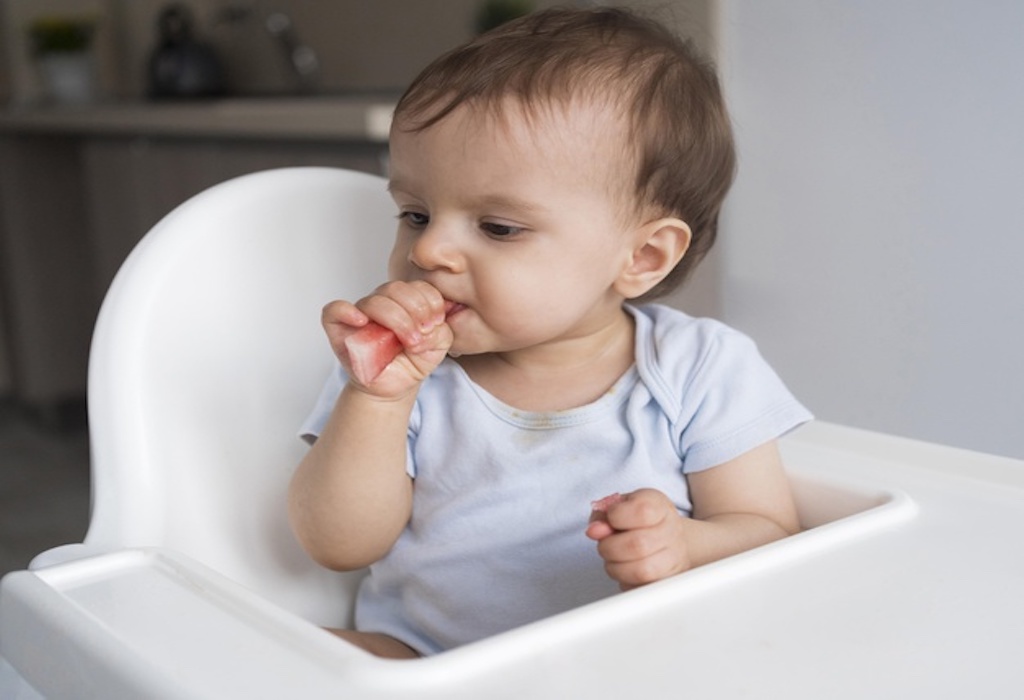 jadwal makan bayi