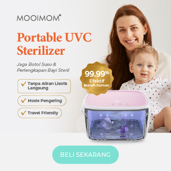 Portable Sterilizer