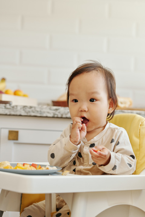 porsi makan bayi 9 bulan