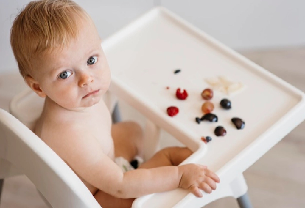 baby led weaning adalah