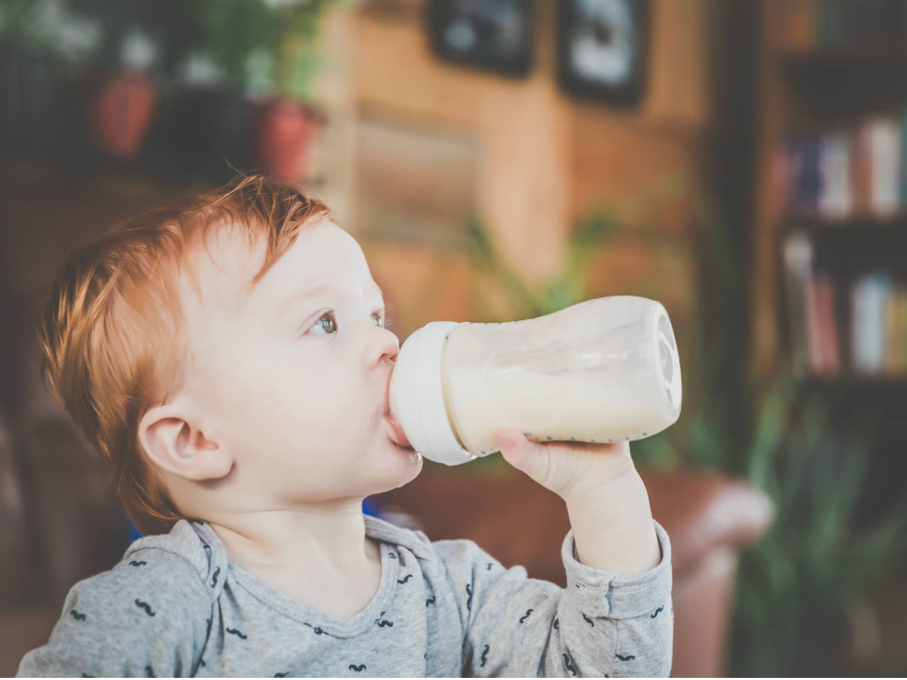 Susu Penambah Berat Badan Anak 2 Tahun