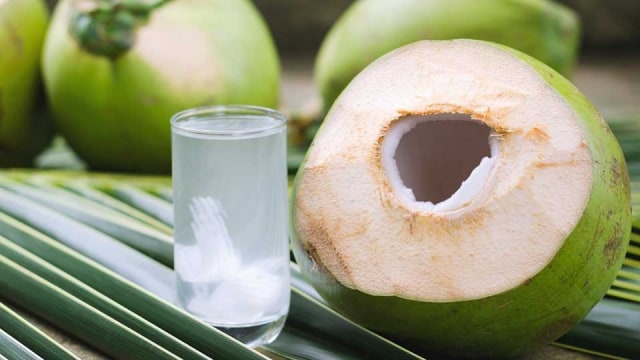 Aturan Minum Air Kelapa untuk Ibu Hamil, Wajib Tahu!