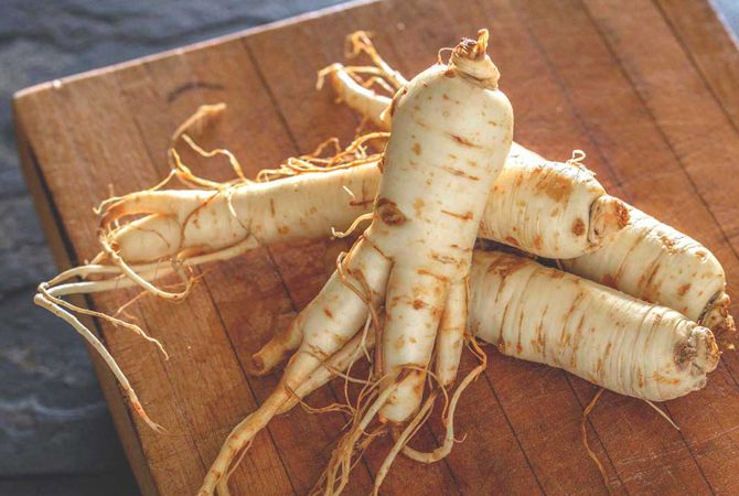 Khasiat Ginseng Untuk Kecantikan