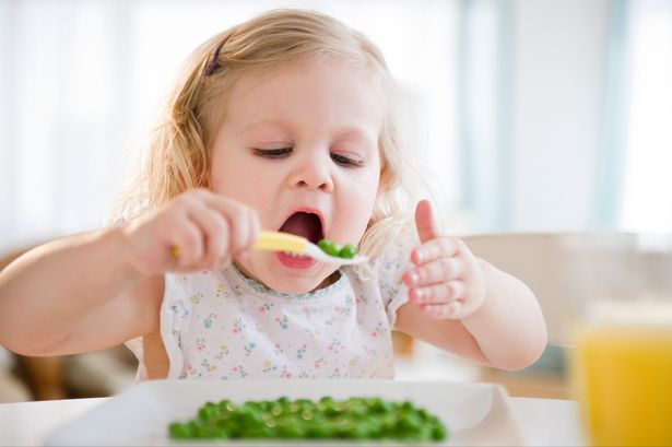 Makanan Wajib Konsumsi Tiap Hari agar Anak Tumbuh Cerdas dan Tinggi