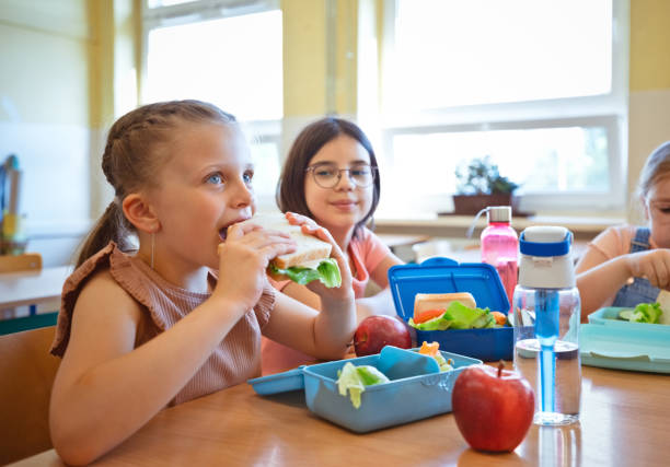 Tempat Bekal Makan Anak: Tips Memilih yang Praktis, Aman, dan Anti Tumpah