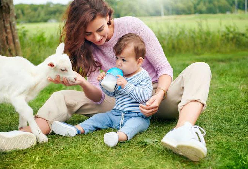 Jangan Berikan Sembarang Susu Kambing untuk Bayi, Ini Alasannya