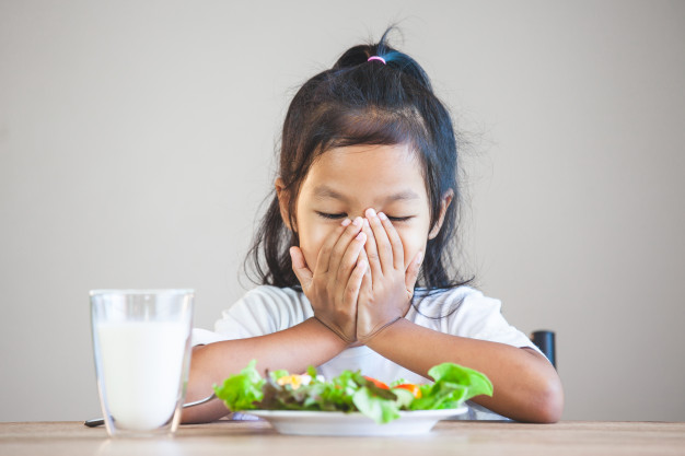 Bekal Praktis nan Kreatif untuk Anak yang Sulit Makan