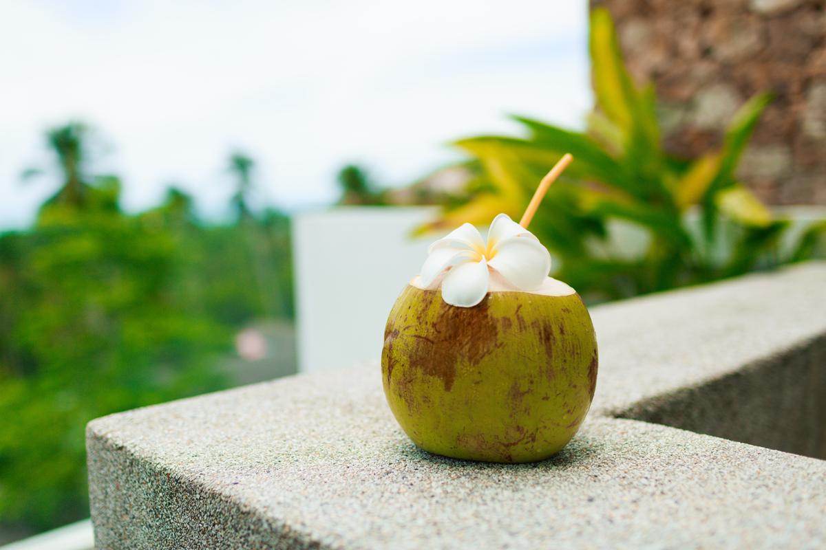 Ibu Menyusui Minum Kelapa Muda, Bolehkah?