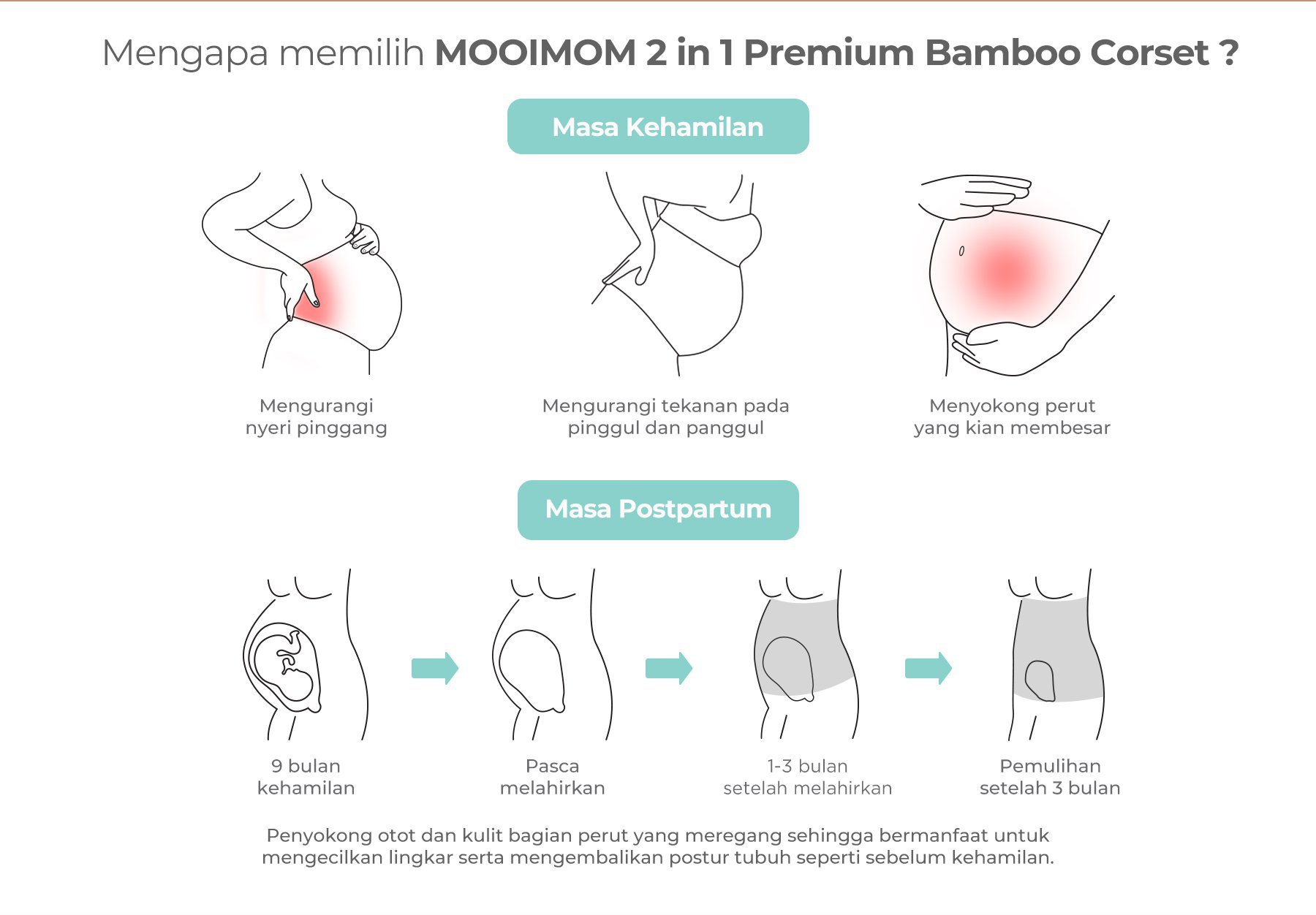 MOOIMOM 2 in 1 Premium Bamboo Corset with Nursing Accecories description image