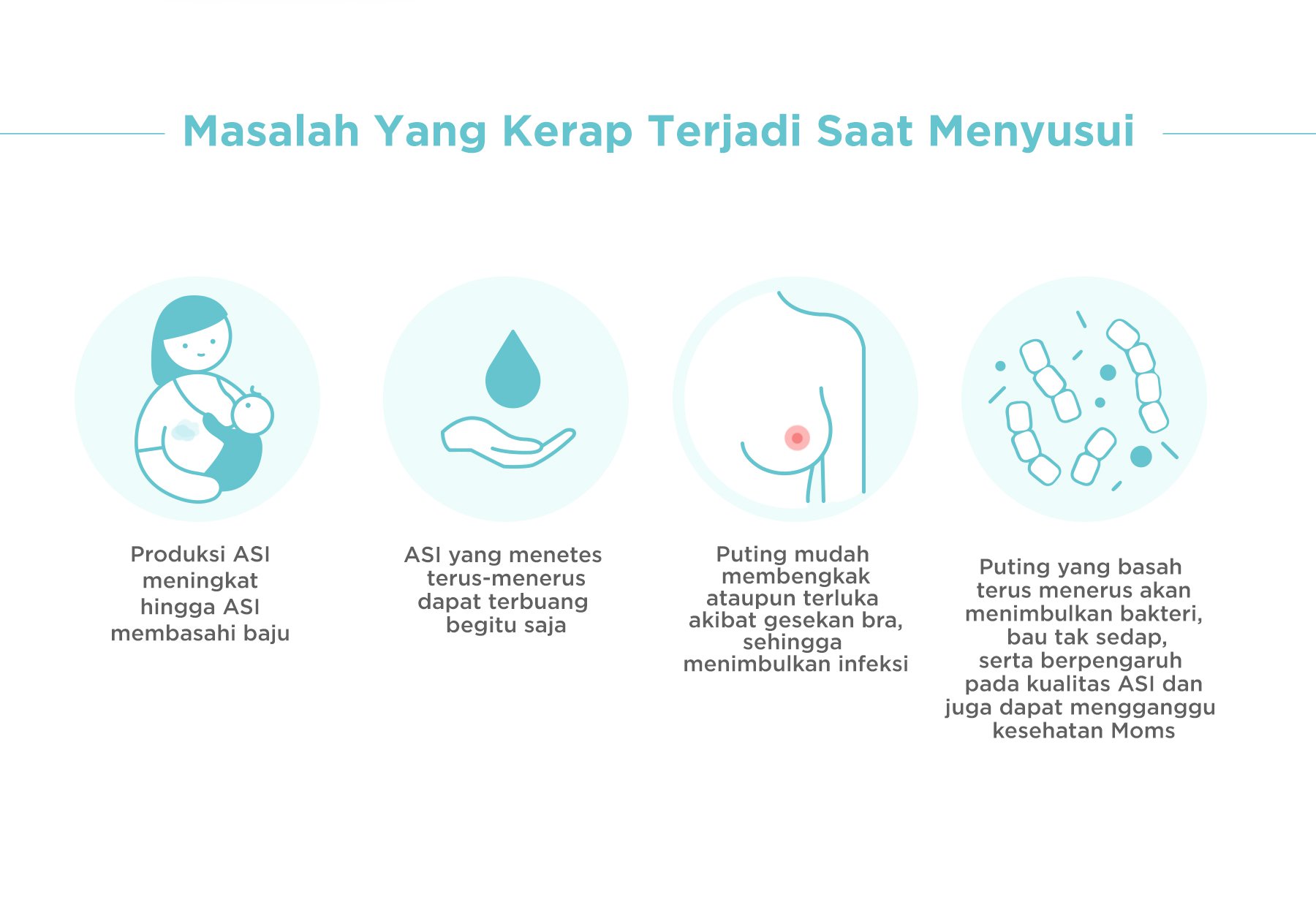 MOOIMOM New Breastmilk Collection Shell - Penampung ASI Alternatif description image