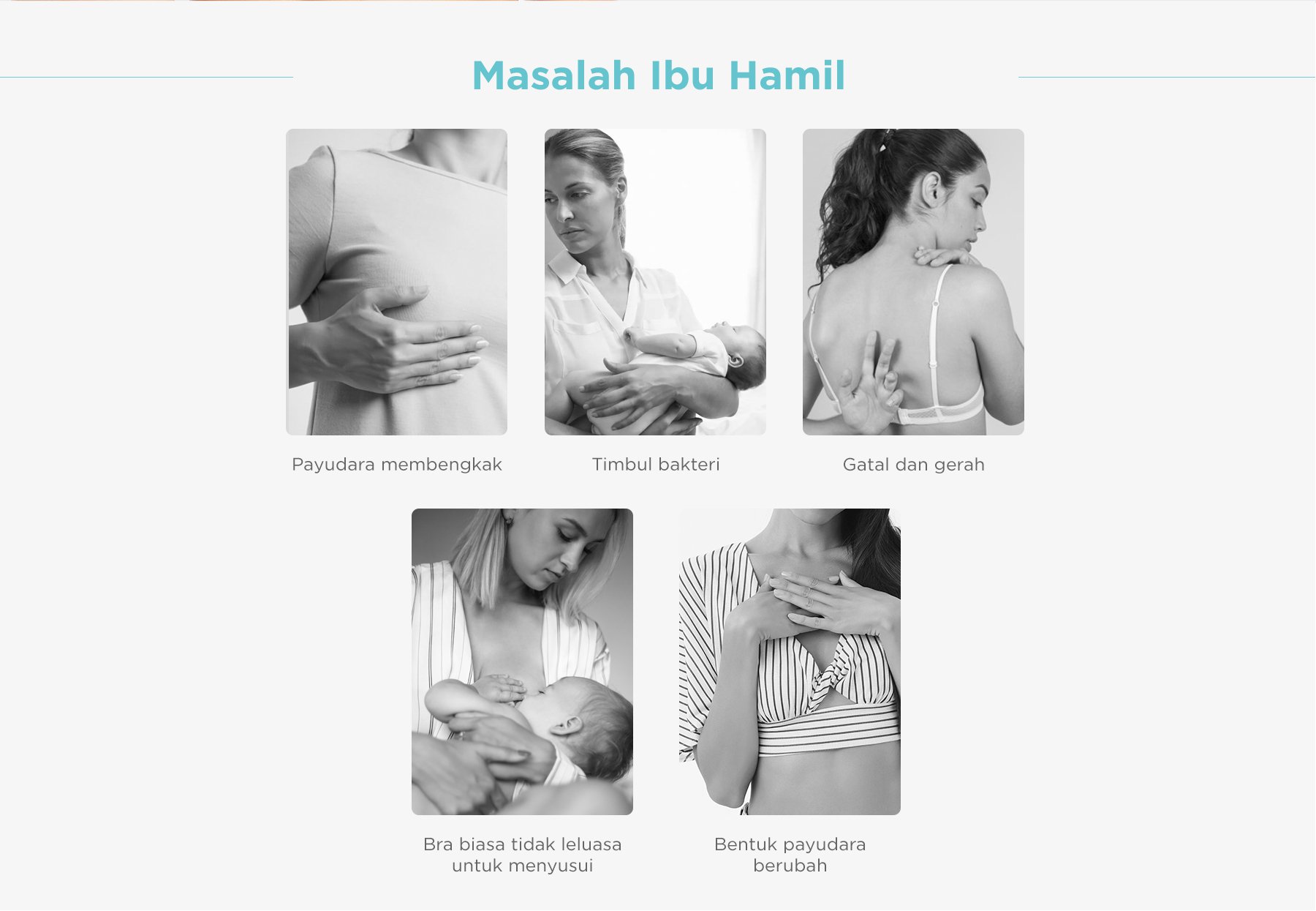 MOOIMOM Saxe Lace Maternity & Nursing Bra - Bra Hamil & Menyusui Nyaman description image