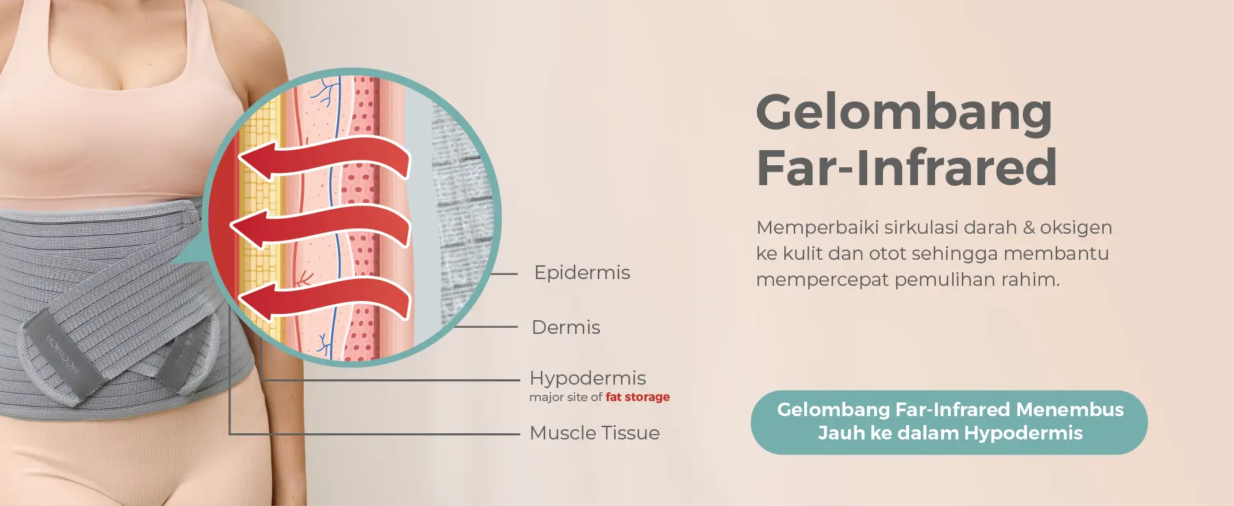 MOOIMOM Bamboo Postpartum Belly Band - Korset Setelah Melahirkan Caesar & Normal description image