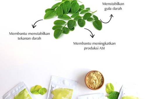 Herbilogy Moringa / daun kelor Extract Powder description image