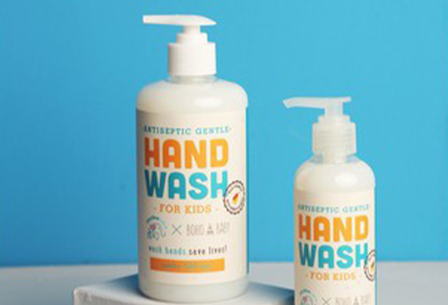 Antiseptic Gentle Handwash Jaydeecare description image