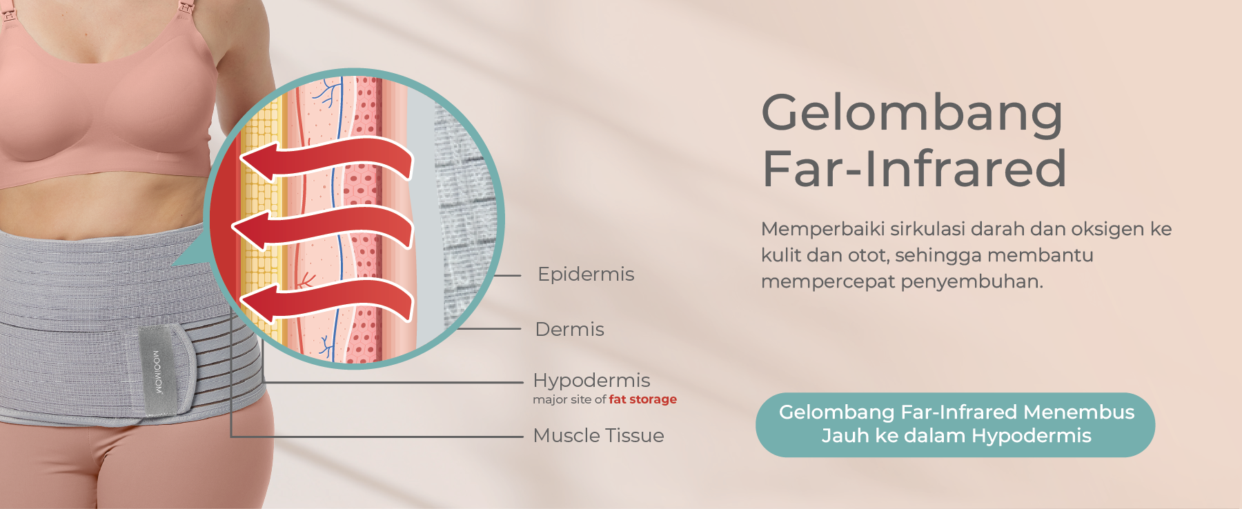 MOOIMOM Exclusive MOOIMOM Bamboo Postpartum Belly Band x Lacoco Ultimate Golden Swallow Facial Foam description image