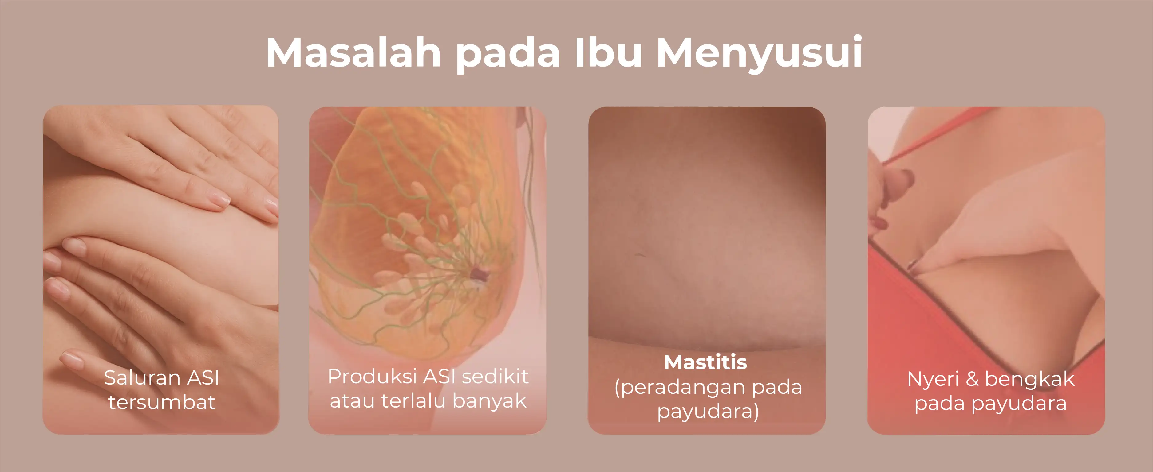 MOOIMOM Double X1 Single + Bag description image