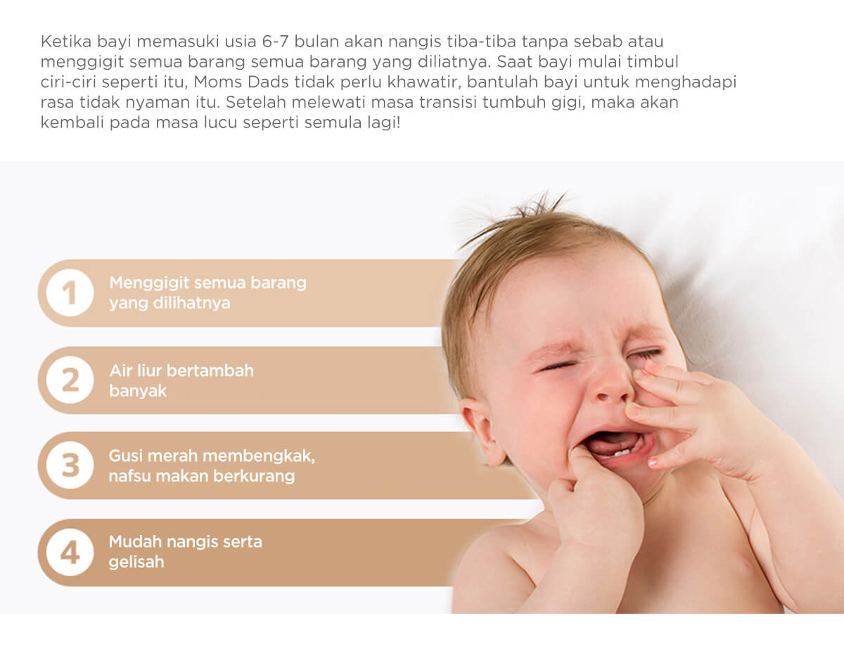 Mombella Octopus Teether Toy Doo - Gigitan Bayi Aman description image