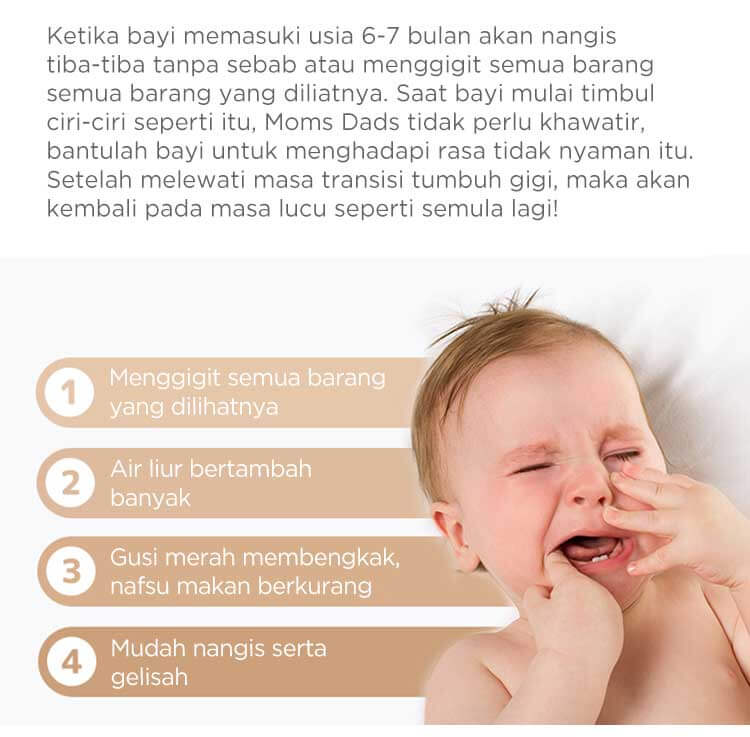 Mombella Flower Fruit Teether - Gigitan Bayi Aman description image