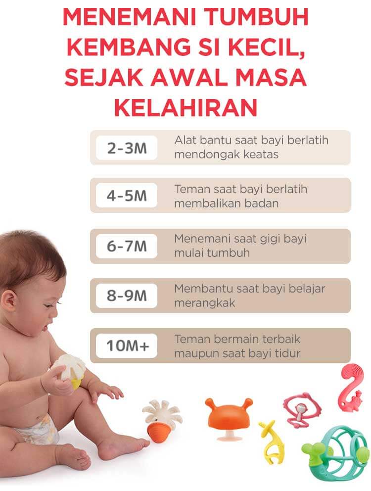 Mombella Flower Fruit Teether - Gigitan Bayi Aman description image