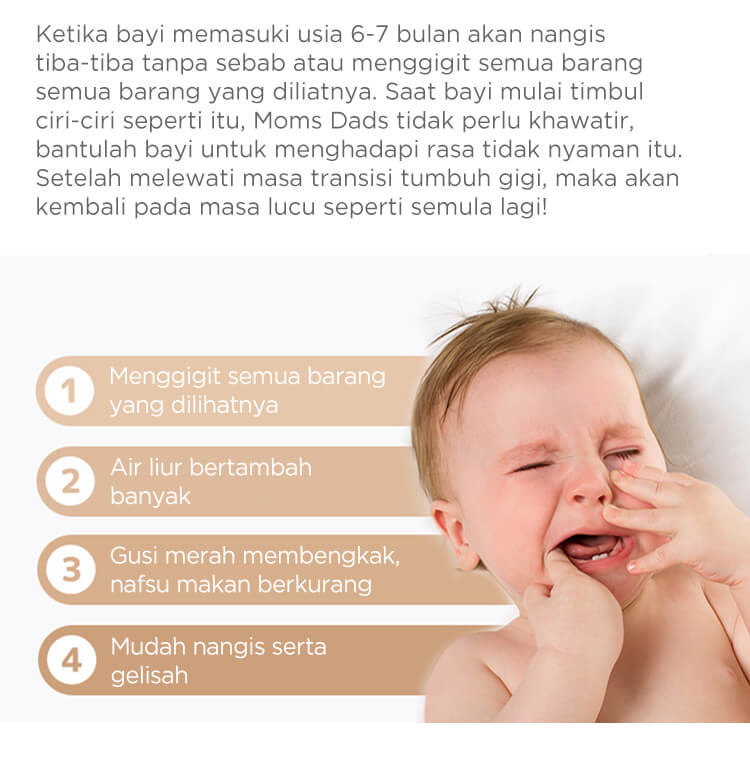 Mombella Squirrel Teether Toy Doo - Gigitan Bayi Aman description image