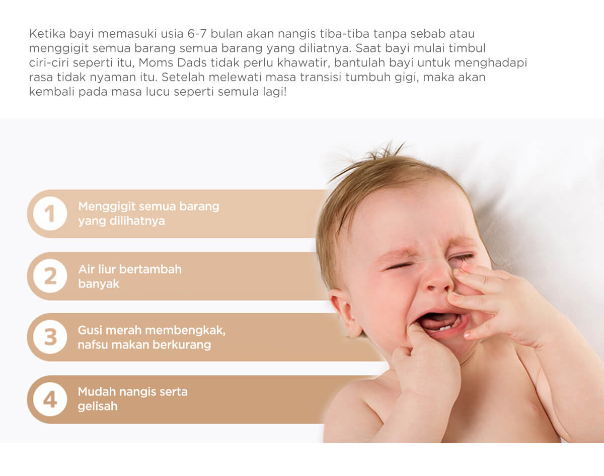 Mombella Hugging Monkey - Gigitan Bayi Aman description image